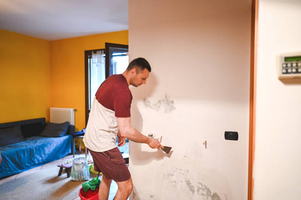 Best Bathroom Mold Remediation in Bernie, MO